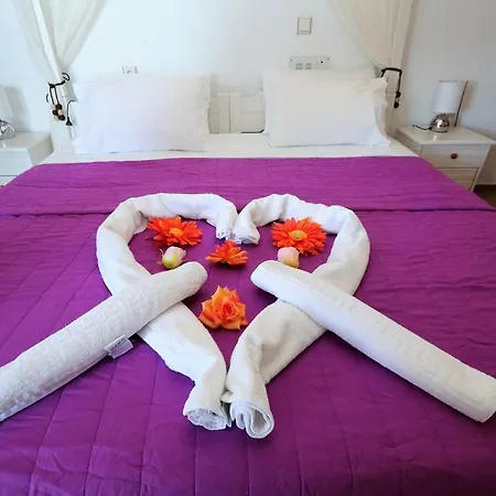 公寓式酒店 阿里斯一室公寓